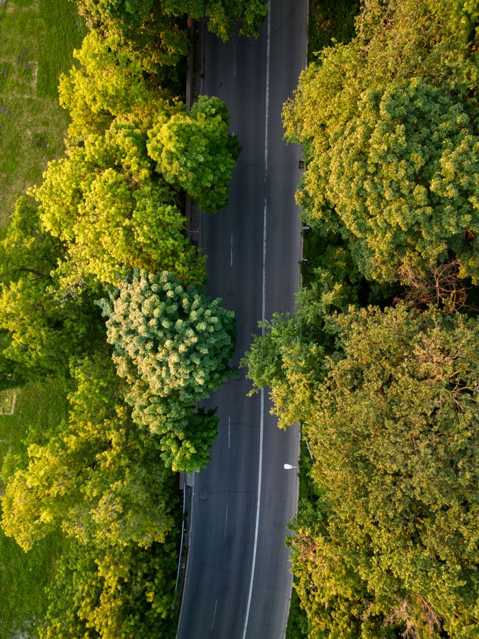 Services Stunning aerial view of a road winding through lush green trees in Ottawa, Canada.
