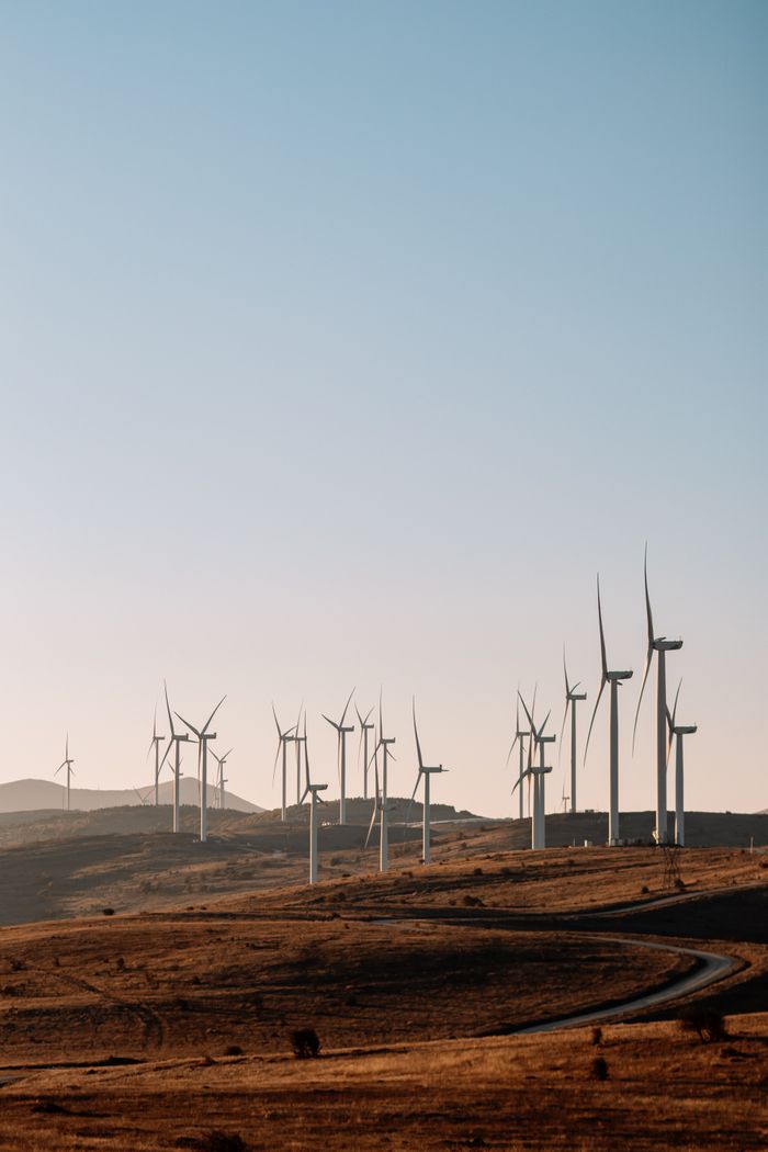 Services Wind turbines on a rolling landscape at sunset with clear blue sky.